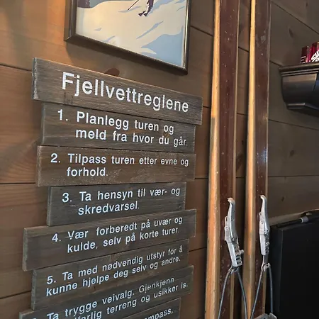 Appartamento In Myrkdalen *